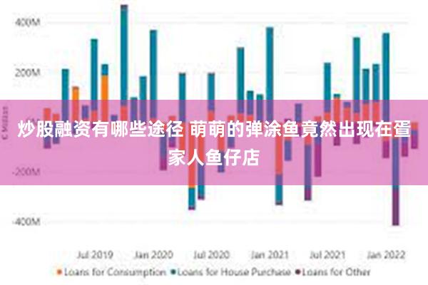 炒股融资有哪些途径 萌萌的弹涂鱼竟然出现在疍家人鱼仔店