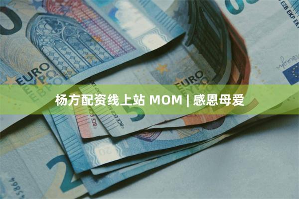 杨方配资线上站 MOM | 感恩母爱