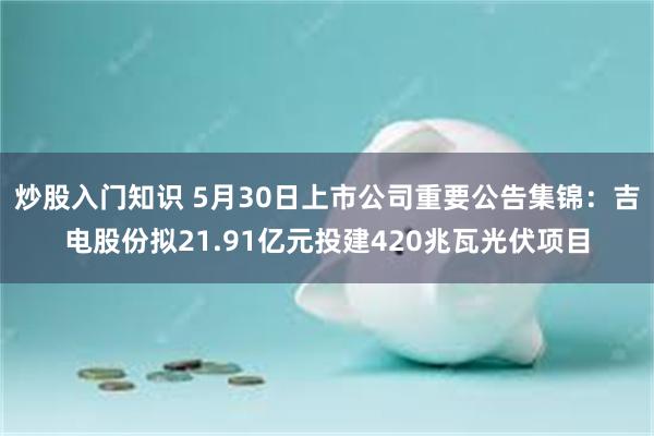 炒股入门知识 5月30日上市公司重要公告集锦：吉电股份拟21.91亿元投建420兆瓦光伏项目