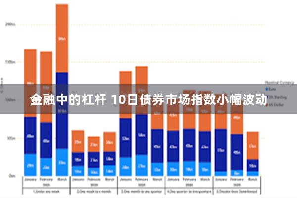 金融中的杠杆 10日债券市场指数小幅波动