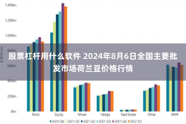 股票杠杆用什么软件 2024年8月6日全国主要批发市场荷兰豆价格行情