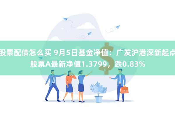 股票配债怎么买 9月5日基金净值：广发沪港深新起点股票A最新净值1.3799，跌0.83%