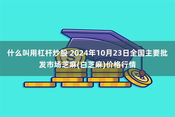 什么叫用杠杆炒股 2024年10月23日全国主要批发市场芝麻(白芝麻)价格行情