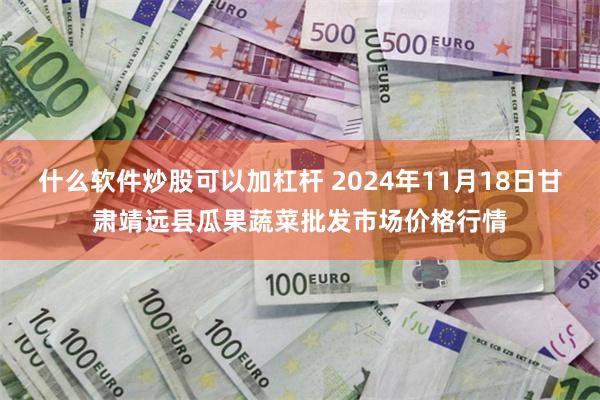 什么软件炒股可以加杠杆 2024年11月18日甘肃靖远县瓜果蔬菜批发市场价格行情