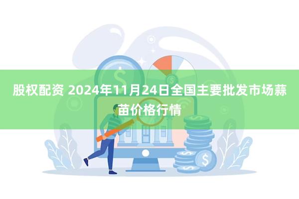 股权配资 2024年11月24日全国主要批发市场蒜苗价格行情