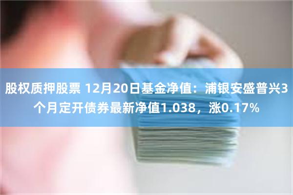 股权质押股票 12月20日基金净值：浦银安盛普兴3个月定开债券最新净值1.038，涨0.17%