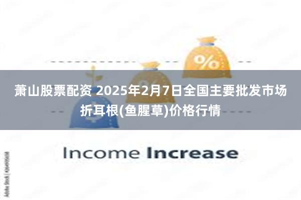 萧山股票配资 2025年2月7日全国主要批发市场折耳根(鱼腥草)价格行情